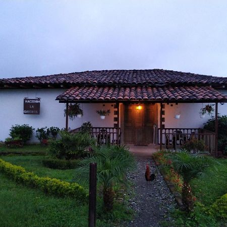 Chinchiná Hacienda Cafetera La Gaviotaヴィラ エクステリア 写真