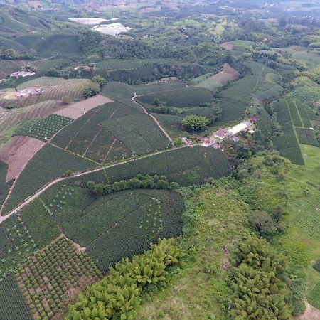 Chinchiná Hacienda Cafetera La Gaviotaヴィラ エクステリア 写真