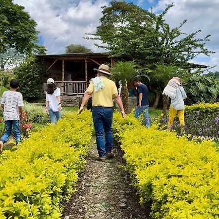 Chinchiná Hacienda Cafetera La Gaviotaヴィラ エクステリア 写真
