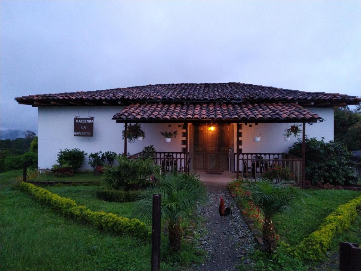 Chinchiná Hacienda Cafetera La Gaviotaヴィラ エクステリア 写真
