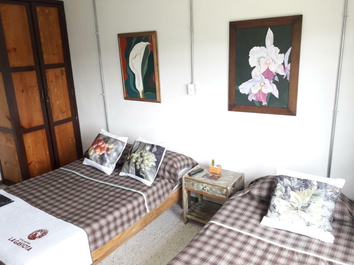 Chinchiná Hacienda Cafetera La Gaviotaヴィラ エクステリア 写真