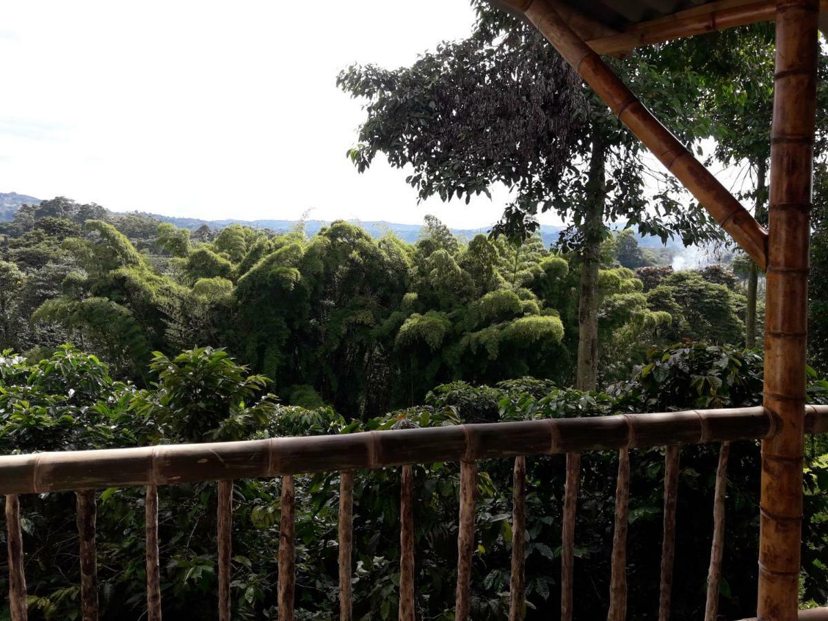 Chinchiná Hacienda Cafetera La Gaviotaヴィラ エクステリア 写真