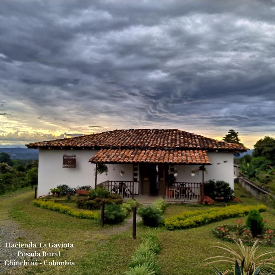 Chinchiná Hacienda Cafetera La Gaviotaヴィラ エクステリア 写真